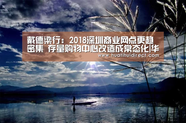 戴德梁行:2018深圳商业网点更趋密集 存量购物中心改造成常态化|华体会官网(图2) 华体会赛事