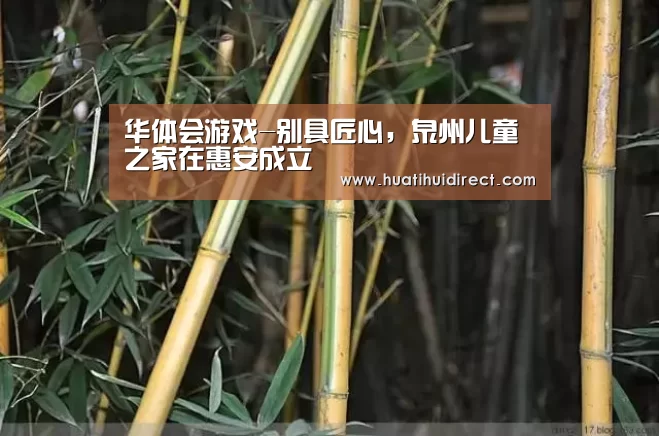 华体会游戏