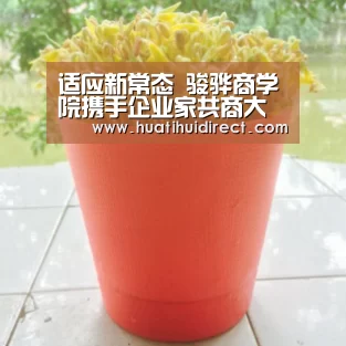 适应新常态 骏骅商学院携手企业家共商大计_华体会赛事(图3) 华体会平台